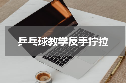 乒乓球教学反手拧拉