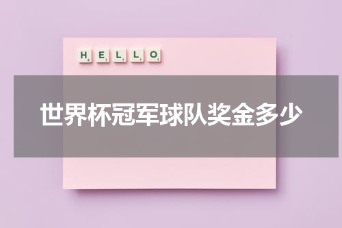 世界杯冠军球队奖金多少