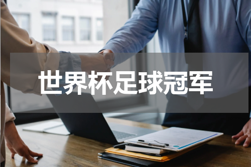 世界杯足球冠军