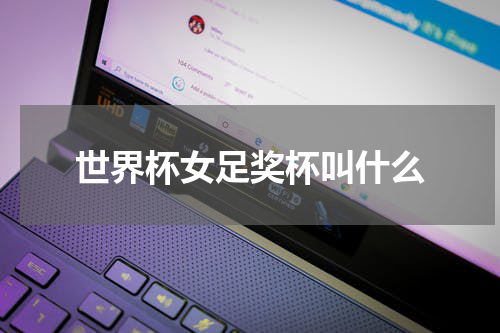 世界杯女足奖杯叫什么