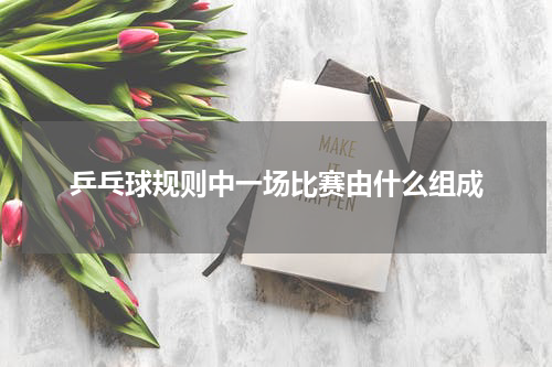 乒乓球规则中一场比赛由什么组成