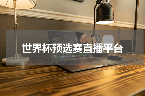 世界杯预选赛直播平台