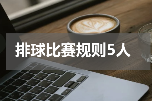排球比赛规则5人