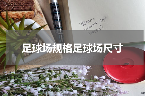 足球场规格足球场尺寸