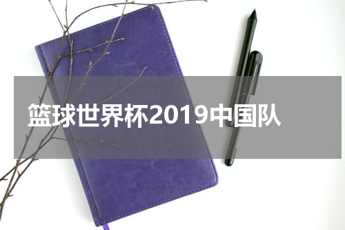 篮球世界杯2019中国队
