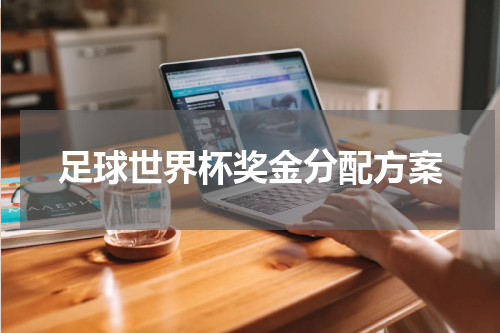 足球世界杯奖金分配方案