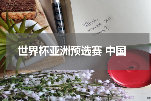 世界杯亚洲预选赛 中国