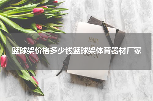篮球架价格多少钱篮球架体育器材厂家