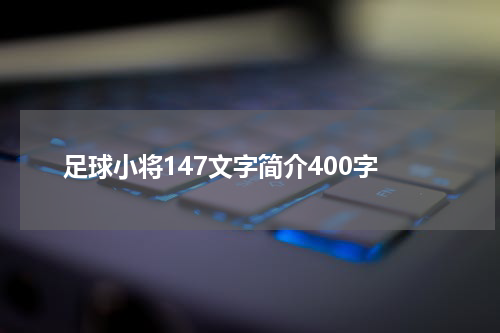 足球小将147文字简介400字