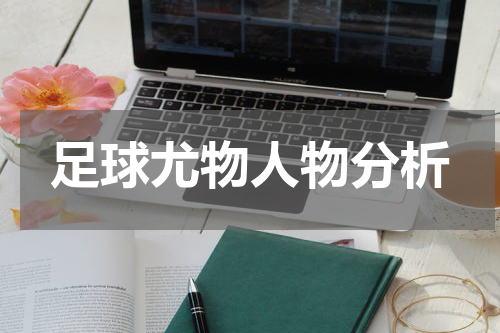 足球尤物人物分析