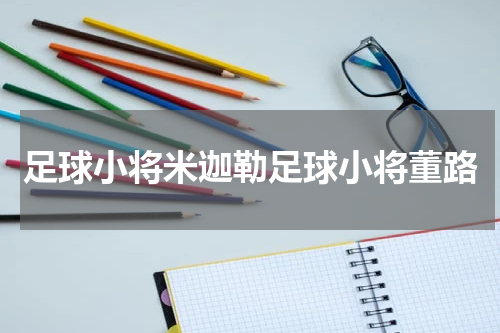 足球小将米迦勒足球小将董路