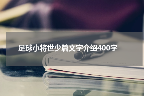 足球小将世少篇文字介绍400字