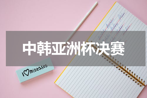 中韩亚洲杯决赛