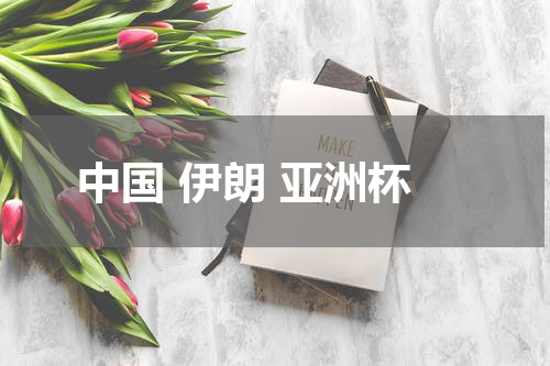 中国 伊朗 亚洲杯