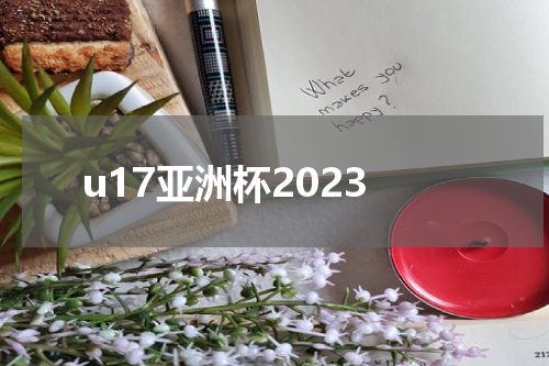 u17亚洲杯2023