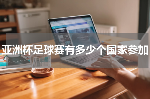 亚洲杯足球赛有多少个国家参加