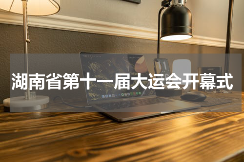 湖南省第十一届大运会开幕式