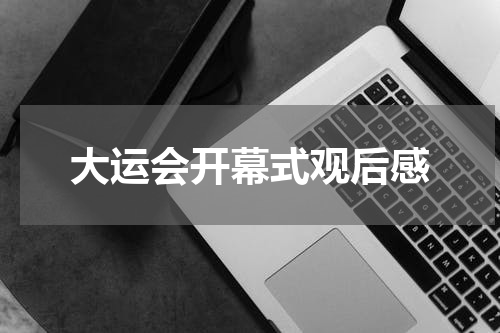 大运会开幕式观后感