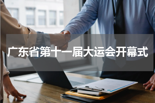 广东省第十一届大运会开幕式