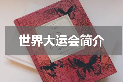 世界大运会简介