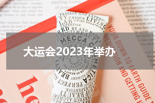 大运会2023年举办