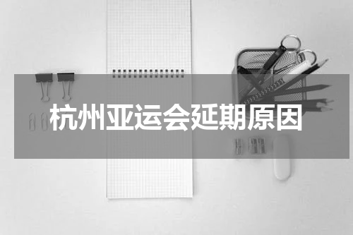 杭州亚运会延期原因