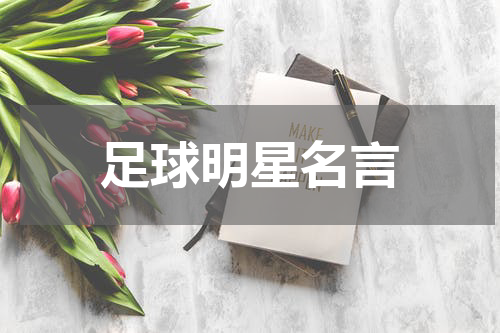 足球明星名言
