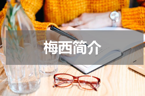 梅西简介