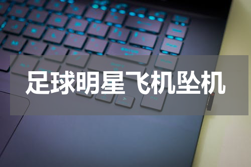 足球明星飞机坠机