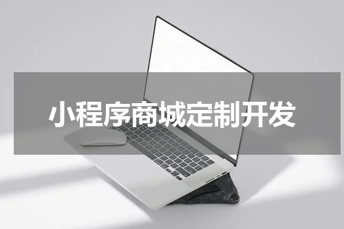 小程序商城定制开发