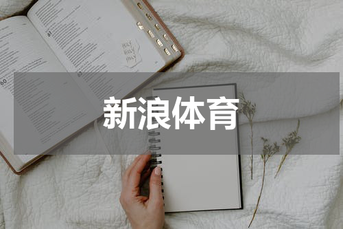 新浪体育