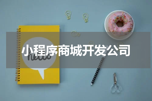 小程序商城开发公司