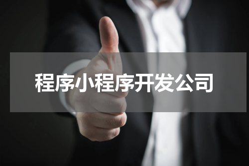 程序小程序开发公司