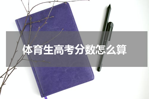 体育生高考分数怎么算