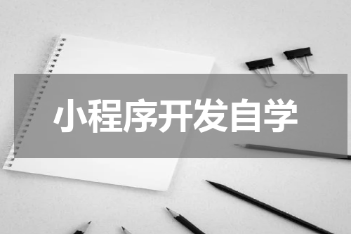 小程序开发自学