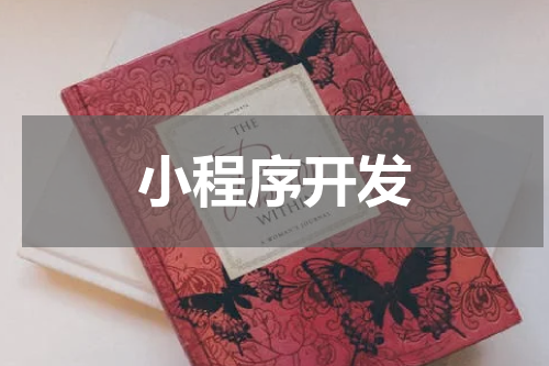 小程序开发