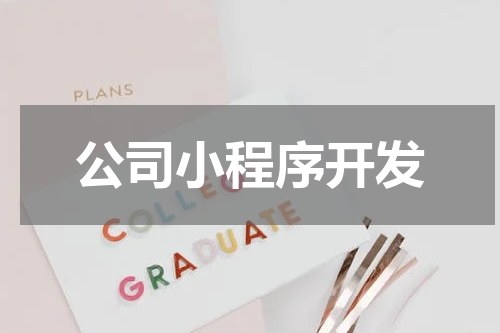 公司小程序开发