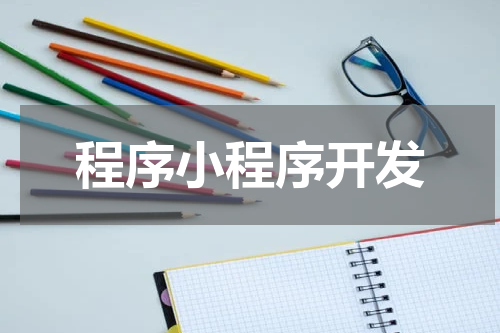 程序小程序开发