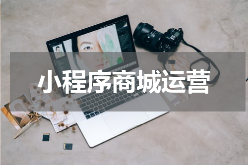 小程序商城运营