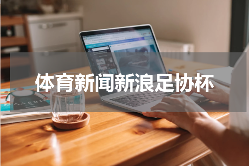 体育新闻新浪足协杯