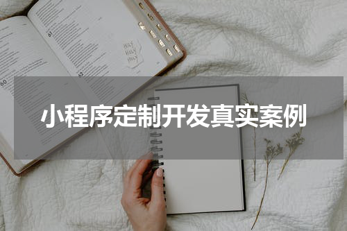 小程序定制开发真实案例