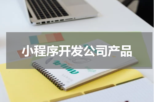 小程序开发公司产品