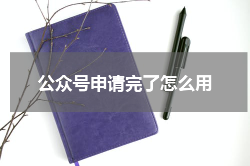 公众号申请完了怎么用