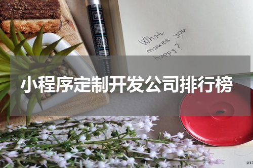 小程序定制开发公司排行榜