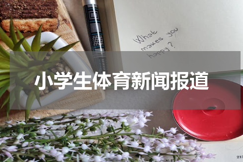小学生体育新闻报道