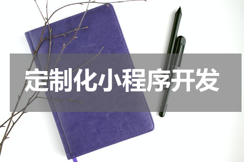 定制化小程序开发