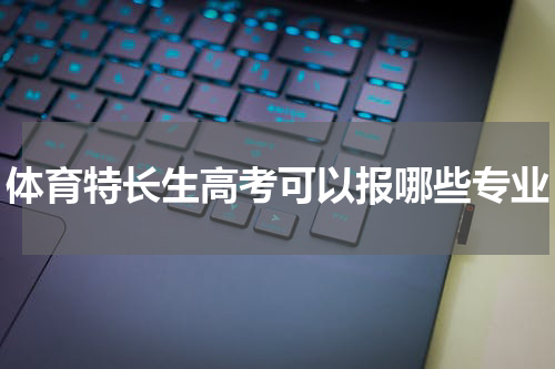 体育特长生高考可以报哪些专业