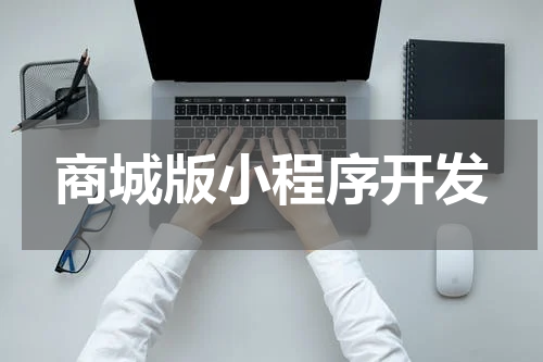 商城版小程序开发