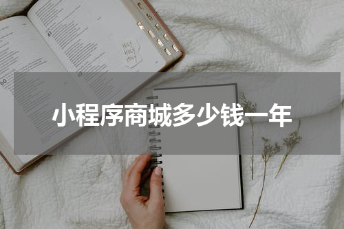 小程序商城多少钱一年