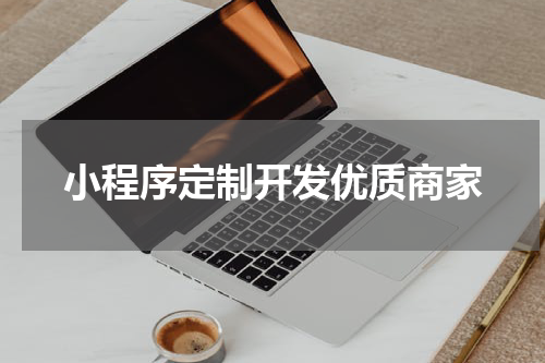 小程序定制开发优质商家